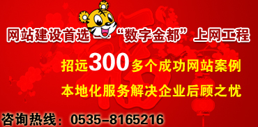 网站建设首选“数字金都”上网工程